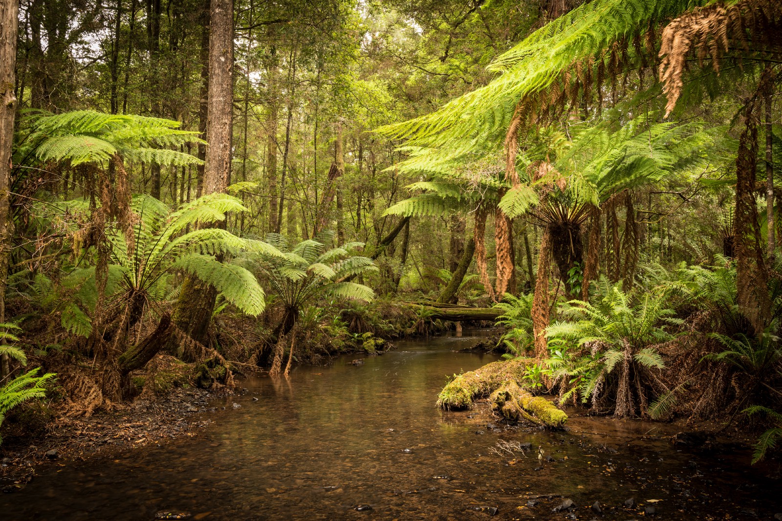 oceania-wikipedia-climate-of-australia-australia-climates