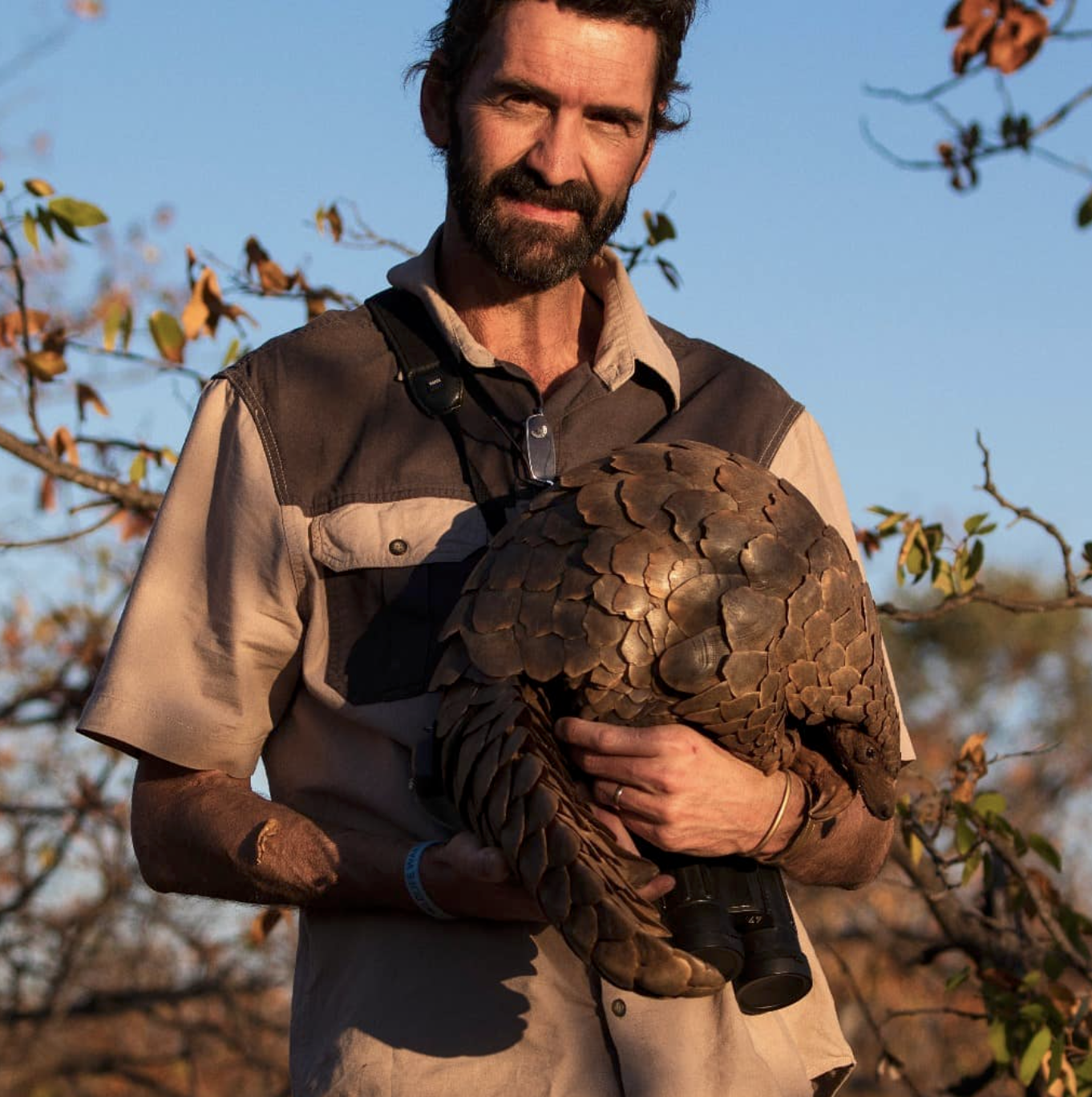 Saving Africa's Pangolins - Interview with Prof Ray Jansen