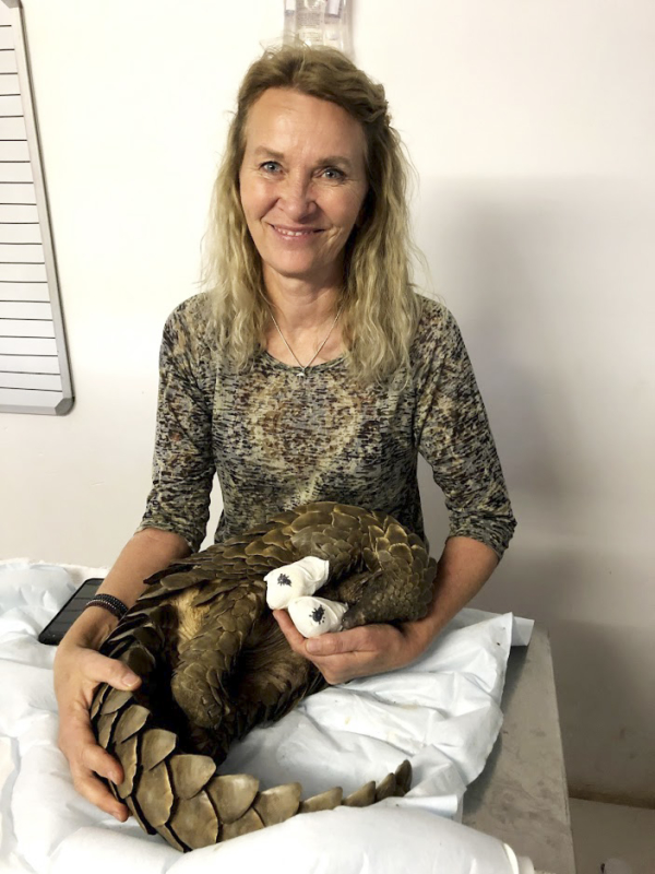 Spotlight On Johannesburg Wildlife Veterinary Hospital