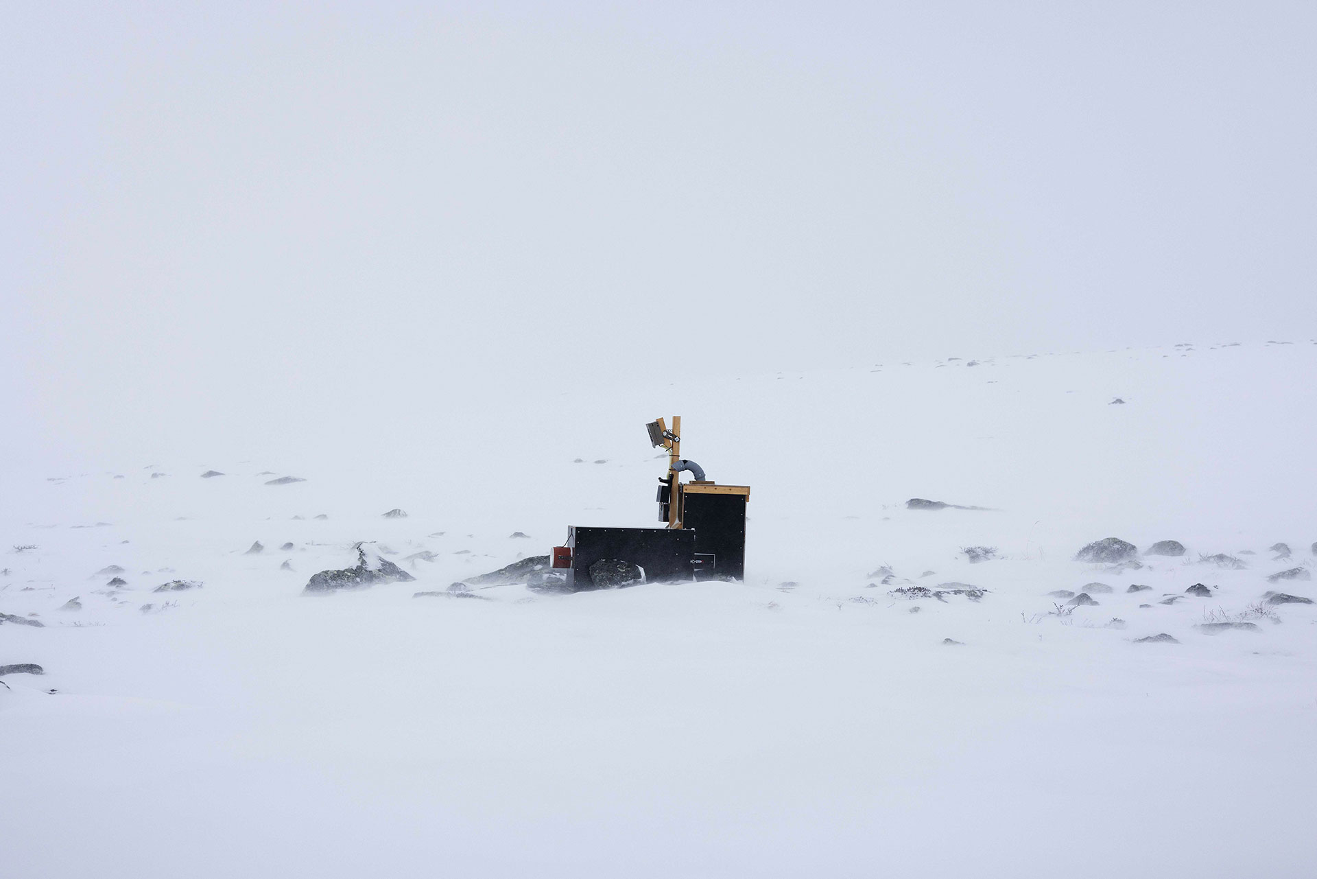 Arctic fox feeding station set in the middle of the snow